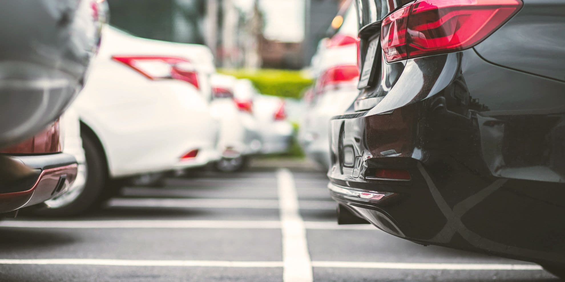 Fleet Category Management: Strategies for Success