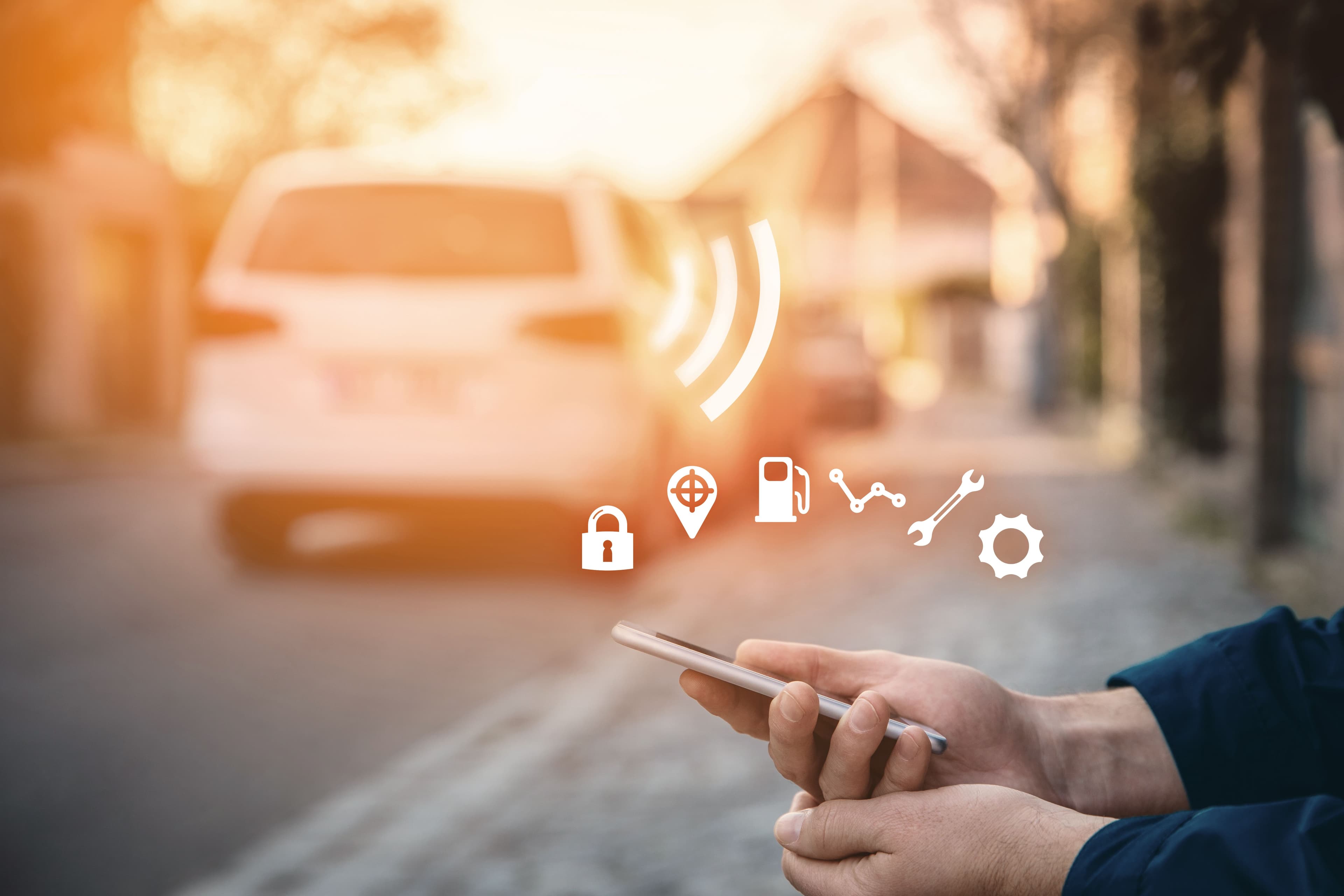 Fleet Management Software Consulting